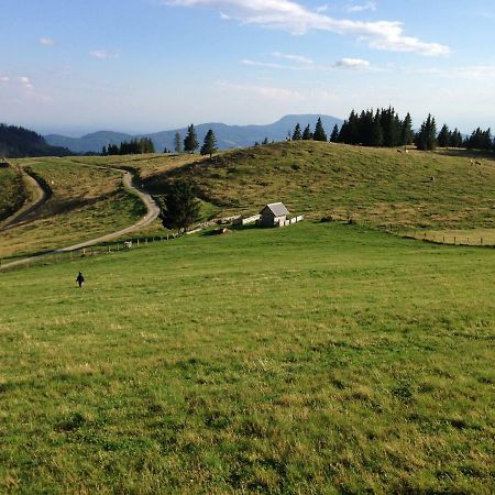 Gartenwohnung Auf Der Sommeralm ザンクト・カトライン・アム・オッフェネック エクステリア 写真