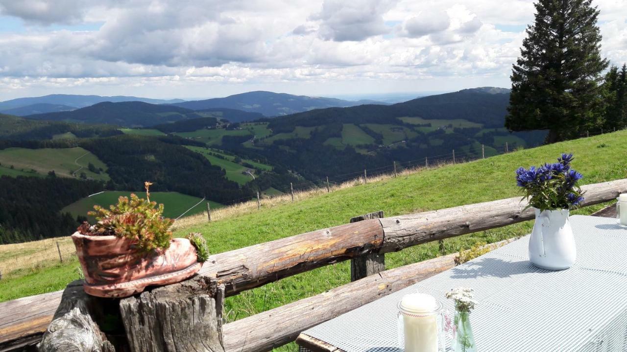 Gartenwohnung Auf Der Sommeralm ザンクト・カトライン・アム・オッフェネック エクステリア 写真