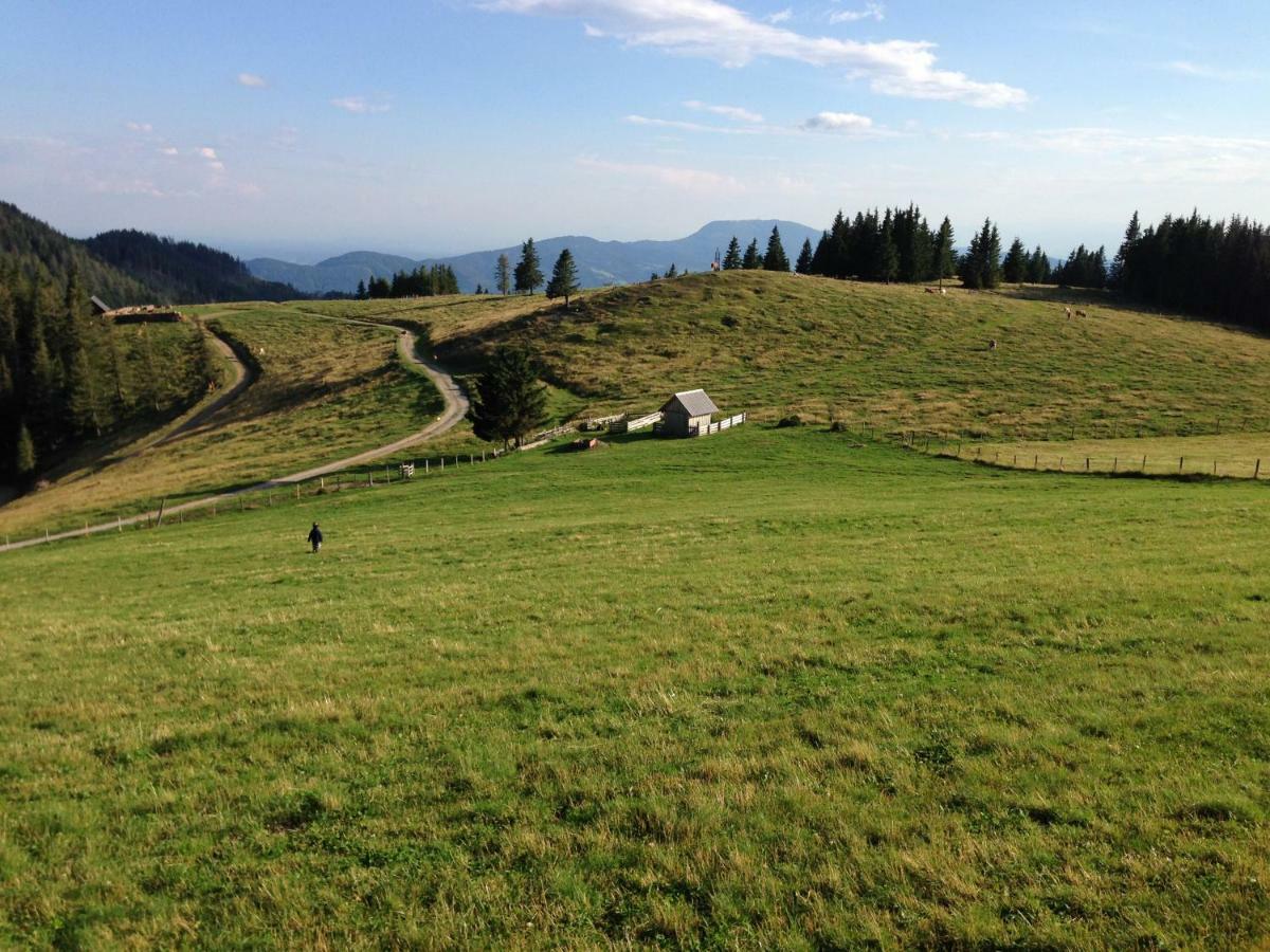 Gartenwohnung Auf Der Sommeralm ザンクト・カトライン・アム・オッフェネック エクステリア 写真