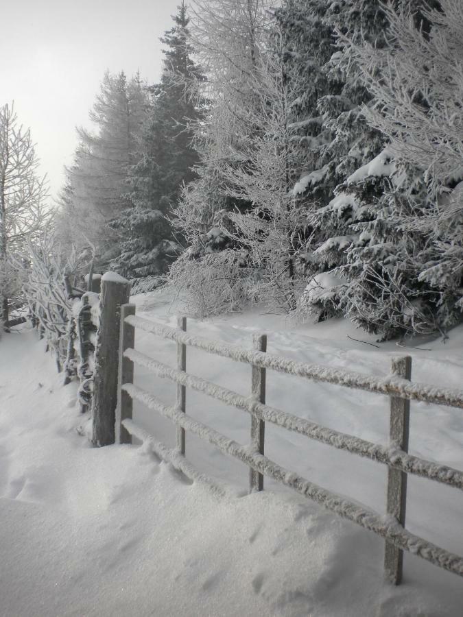 Gartenwohnung Auf Der Sommeralm ザンクト・カトライン・アム・オッフェネック エクステリア 写真